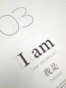 Neri Hu & 宣言 以平面设计重塑时代的视觉秩序
